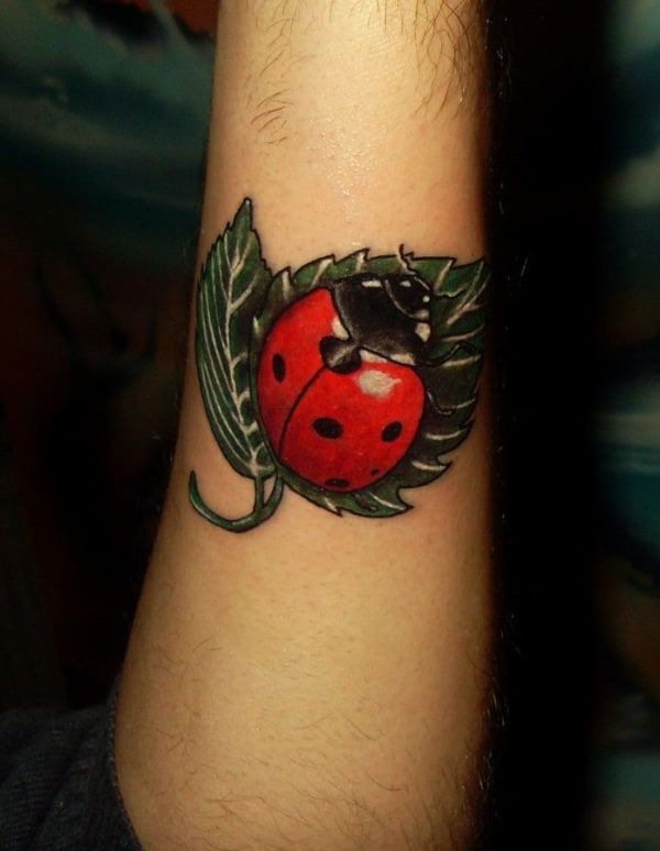 51 Cute Ladybug Tattoo Designs And Ideas