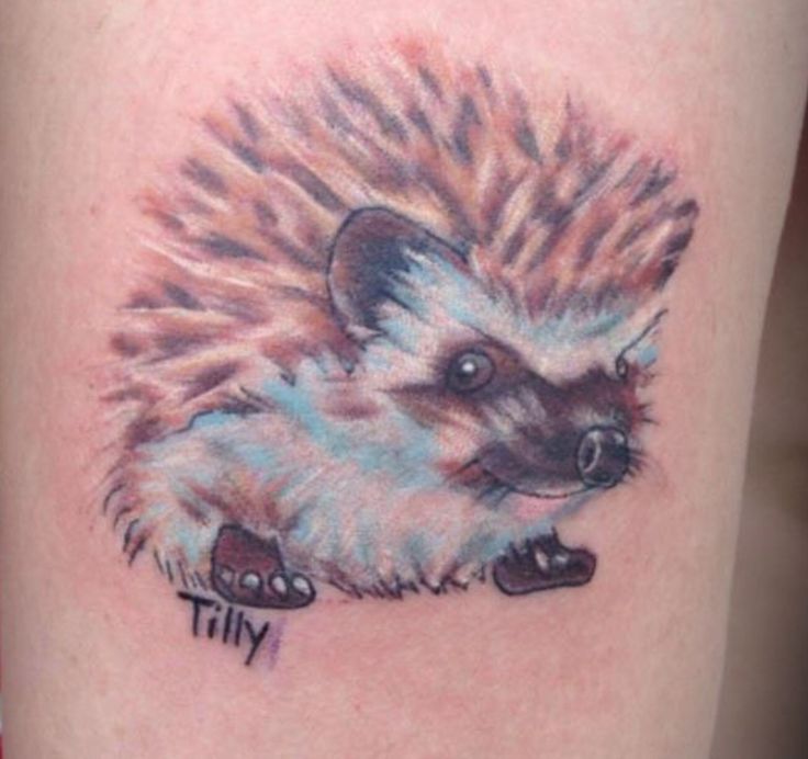 Watercolor hedgehog tattoo