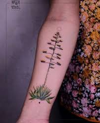 500+ Best Agave Tattoo Ideas, Designs and Meaning 2026