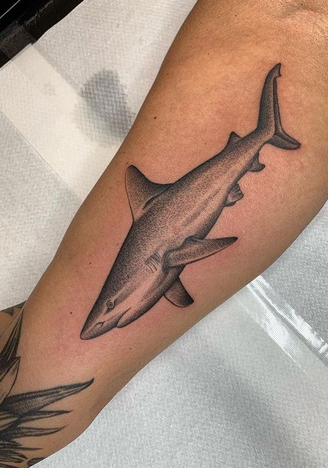 100 Magnificent Shark Tattoos ( The Biggest Gallery) - The Trend Scout