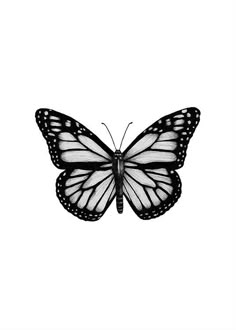 Mens butterfly tattoo