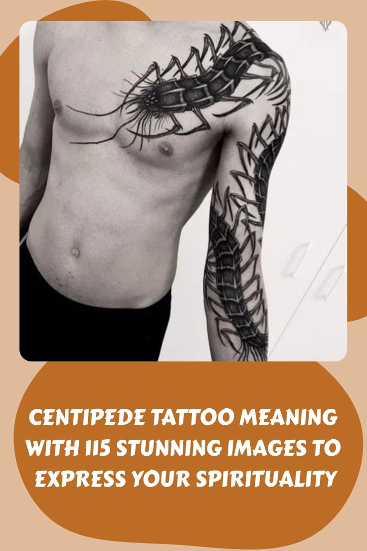 Centipede Tattoo Meaning With 115 Stunning Images to Express Your  Spirituality