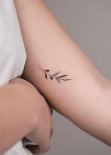 Discover 24 Olive Tattoos and Olive Branch Tattoo Ideas | branch tattoo, olive tree tattoos, olive branch postage stamp tattoo and more