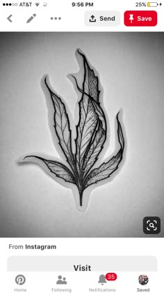 Pot Leaf Clip Art