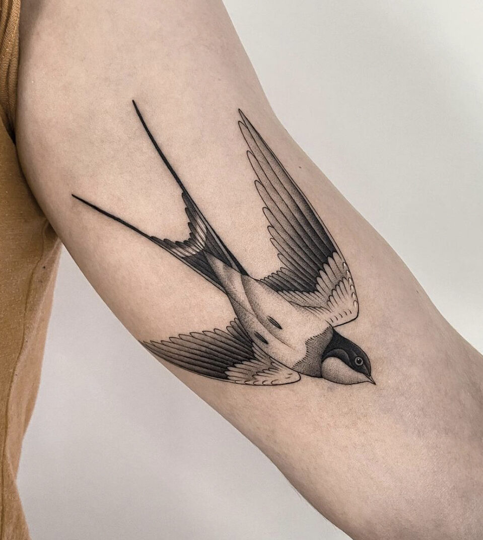 Barn Swallow Tattoo