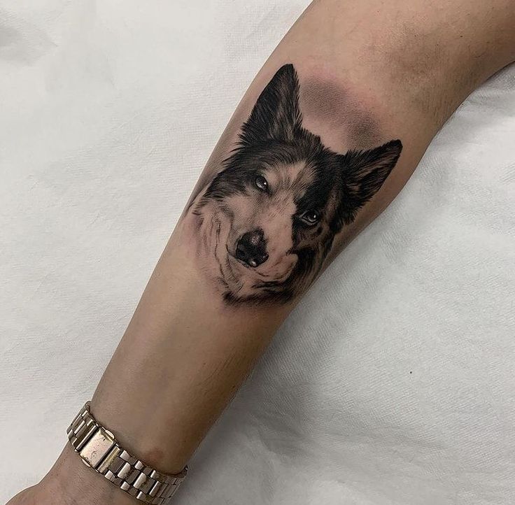 Border Collie Tattoo, collie tattoo, minimalist border collie tattoo,  border collie tattoo simple