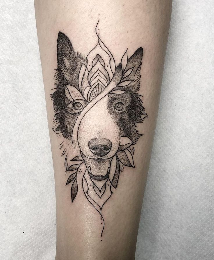 18 Best Border Collie Tattoo Ideas