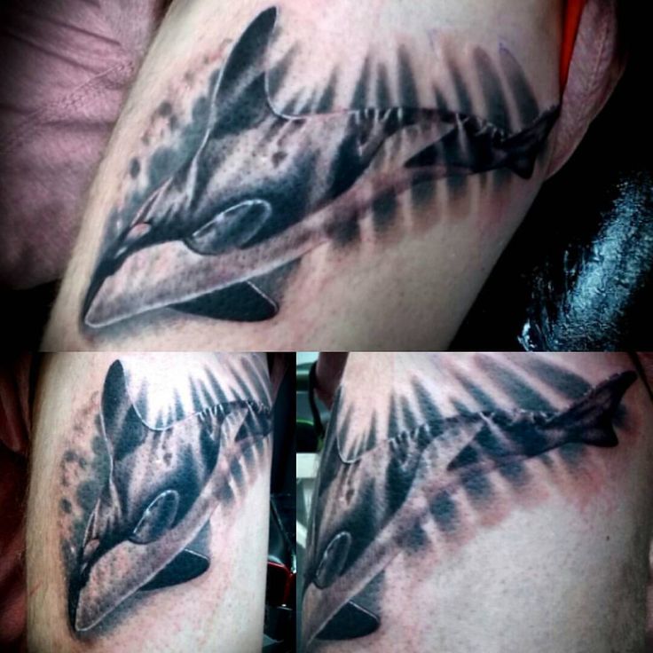 Orca tattoo by @chloezart.