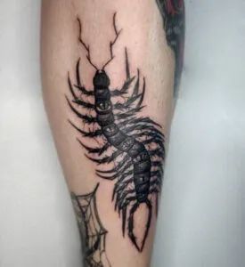 14 New Centipede Tattoos That Can Scare You - Tattoo Twist