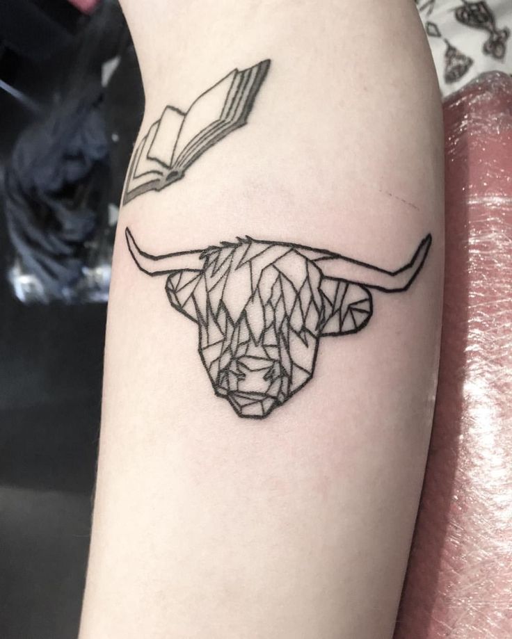 Pin by L E W I S ▪️ O S E M A N on Tattoo inspo | Cow tattoo, Scotland  tattoo, Tattoos