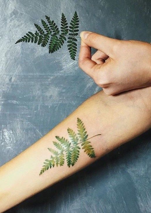 35 Plant Tattoo Ideas & Inspiration - Brighter Craft