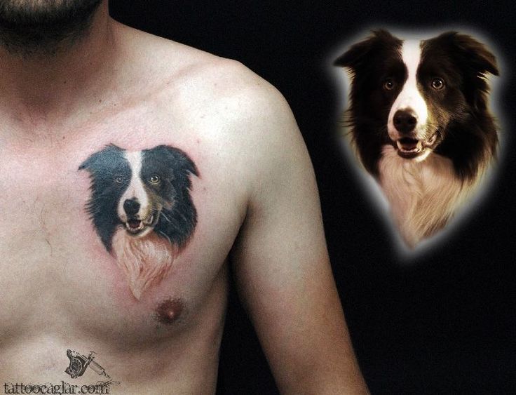Bearded Collie Tattoos Ideas