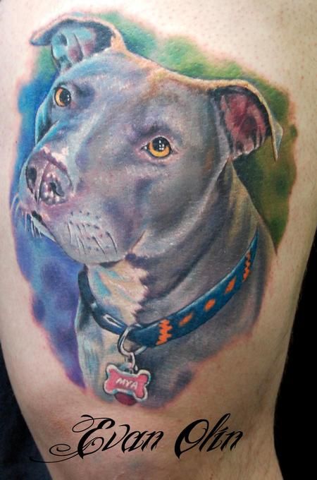 The 20 Coolest Pit Bull Tattoo Designs In The World