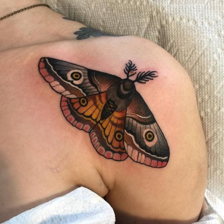 moth