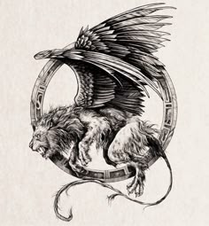 150 Tattoos - Griffins and Flying Things ideas to save today | tattoos, griffin  tattoo, gryphon tattoo and more