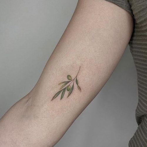 Top 20 Olive Tattoo Designs for 2025: Embrace Peace with These Artistic Creations