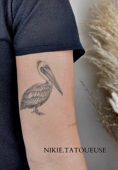 Discover 47 Pelican Drawing and Pelican Outline Tattoo Ideas | pelican art, simple pelican tattoo, pelican logo and more