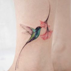 Discover 20 Jamaican Doctor Bird and Hummingbird Tattoo Meaning Ideas |  small hummingbird tattoo, hummingbird flower tattoos, jamaican culture and  more