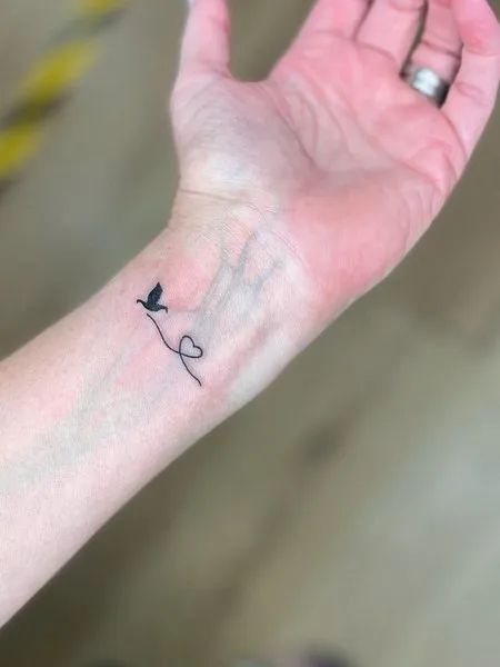 doves