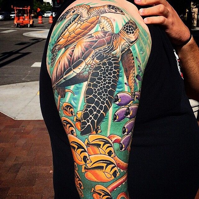 turtle