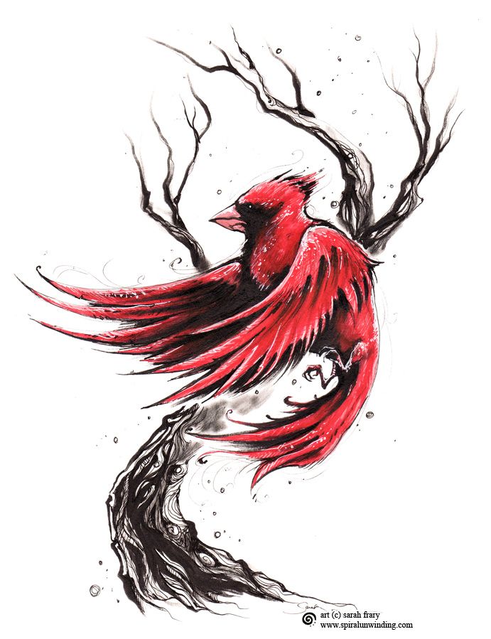 Cardinals symbolize leadership.