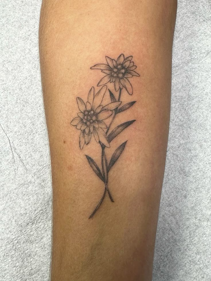 Edelweiss Flower Tattoo