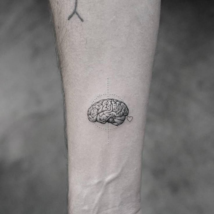 Single needle brain tattoo on the right inner forearm.