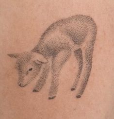 Discover 50 creativity. ink. and lamb tattoo ideas | sheep tattoo, cute  tattoos, small tattoos and more
