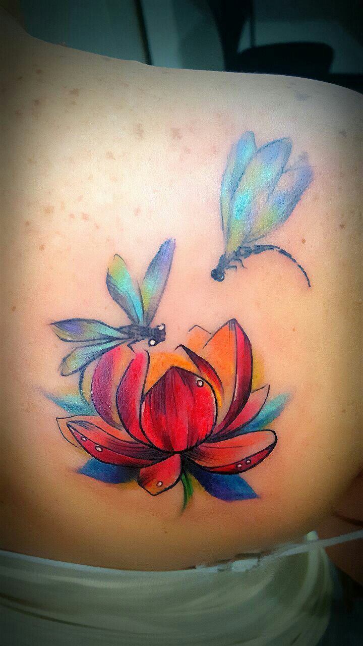 Galeria Gibran Ulate Liberia Costa Rica