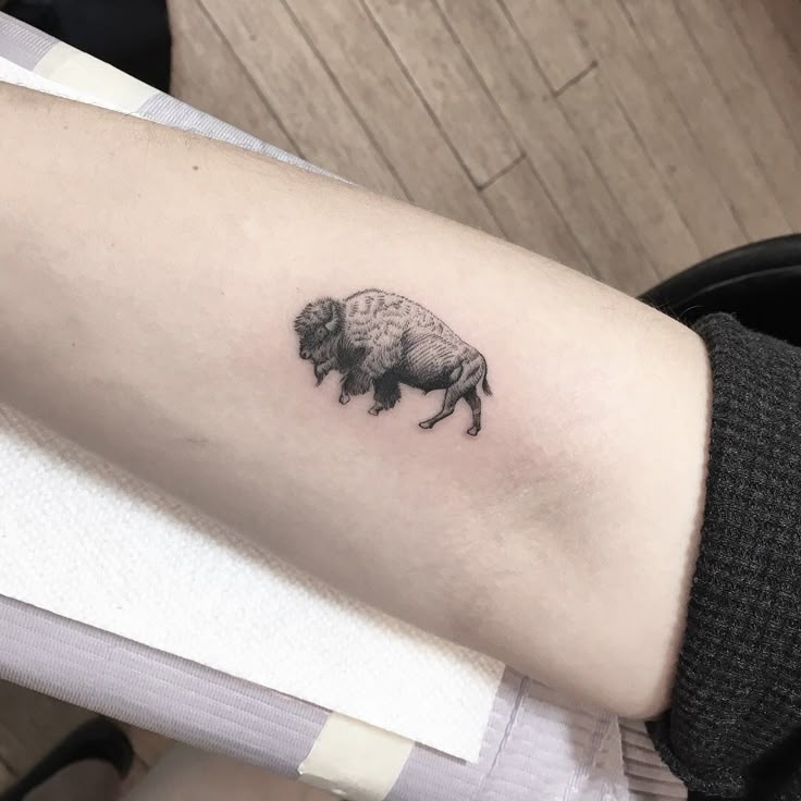 Pin by Christine Andersen on Tattoos | Buffalo tattoo, Bison tattoo, Small  tattoos