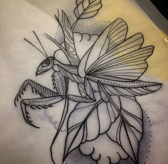 Gorgeous Mantis Tattoo Design
