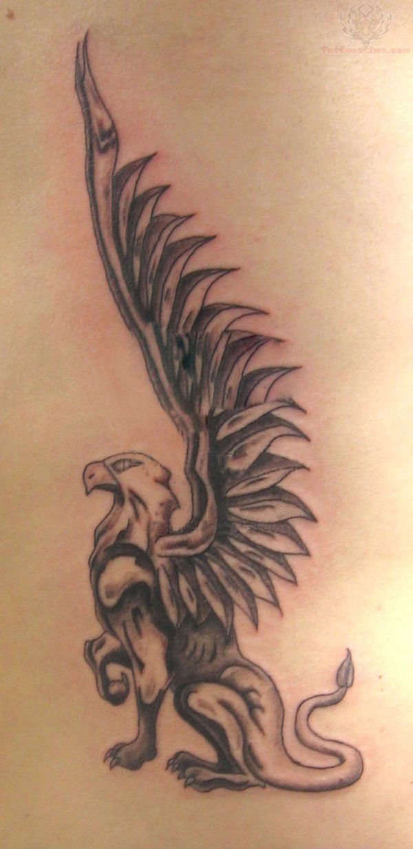 Griffin tattoo, Tattoos, Tattoo designs