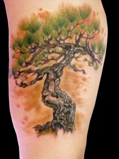 17 Bonsai Tattoos ideas | bonsai tattoo, bonsai tree tattoos, bonsai