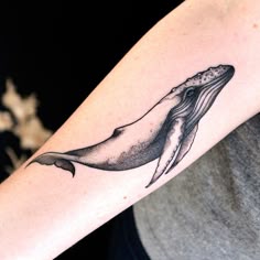 100 Best Whale tattoos ideas | whale tattoos, tattoos, whale