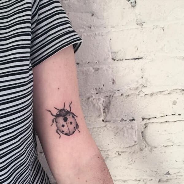 51 Cute Ladybug Tattoo Designs And Ideas