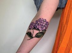 Discover 200 Hydrangea and Hydrangea Tattoo Ideas | hydrangea painting,  watercolor hydrangea, hydrangea vintage illustration and more