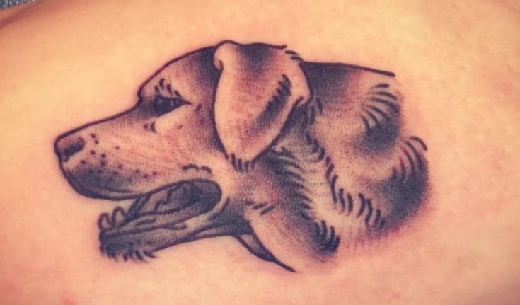 Top 28 Best Labrador Tattoo Ideas