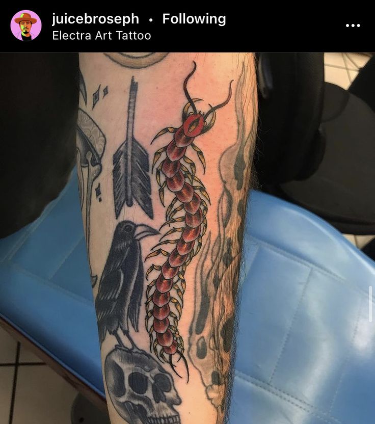 american traditional centipede tattoo