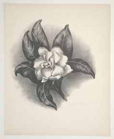 7 Gardenia tattoo ideas | gardenia tattoo, flower tattoos, wrist tattoos