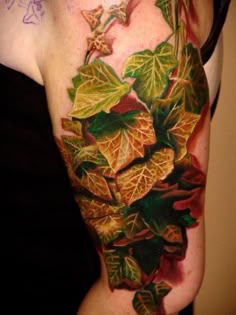 Discover 16 Leafy Vine Tattoos and Poison Ivy Tattoo Ideas | rose vine  tattoos, arm wrap tattoo, tatouage bracelet and more