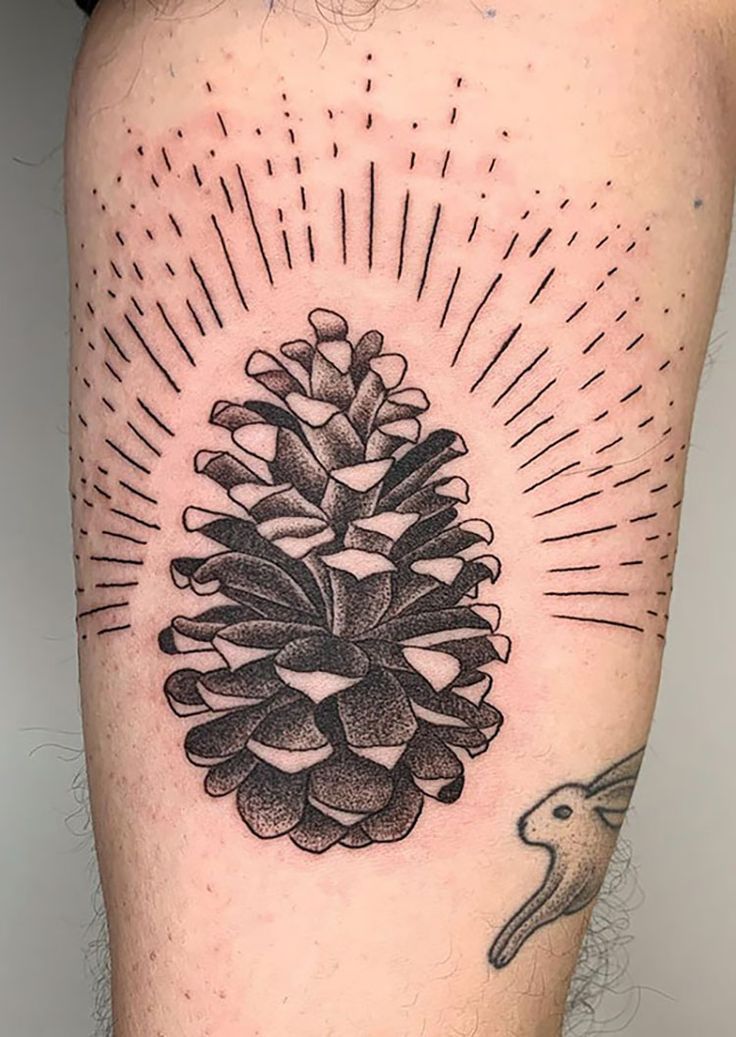 17 Pinecone Tattoos for People Who Love Nature