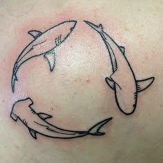 Shark tattoos: Discover 30 Small shark tattoos ideas | tattoos, small shark  tattoo and more