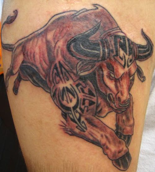 15 Best Taurus Tattoo Designs For Men And Women!