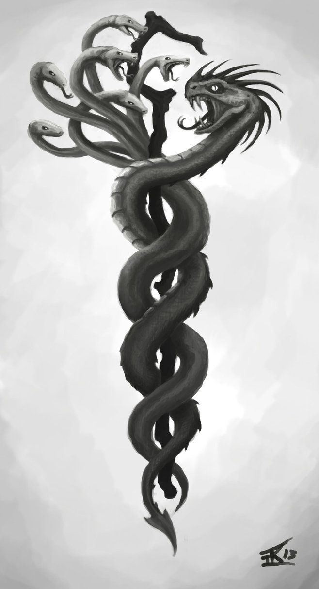 Hydra/Basikisk Tattoo Sketch by KTK87