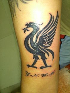 Discover 9 Liverpool Tattoos and Liverpool Fc Tattoo Ideas | liverbird  tattoo, ynwa tattoo, liverpool players and more
