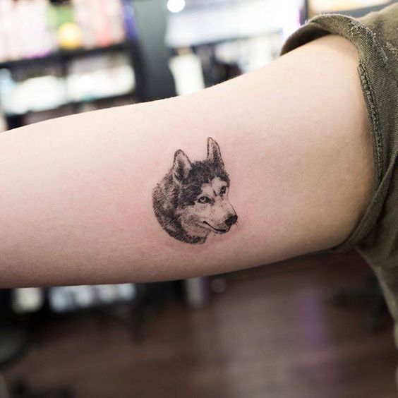 24 Siberian Husky Tattoo Designs For Men and Women