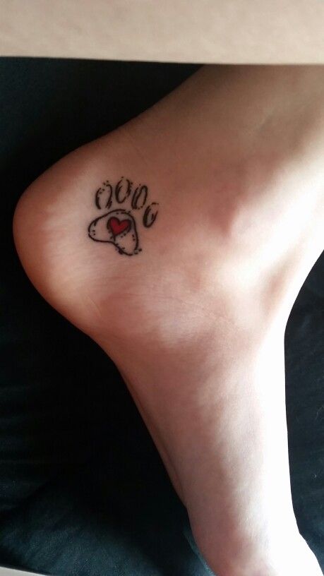 Pawprint tattoo with heart, on inside of foot/ankle area.