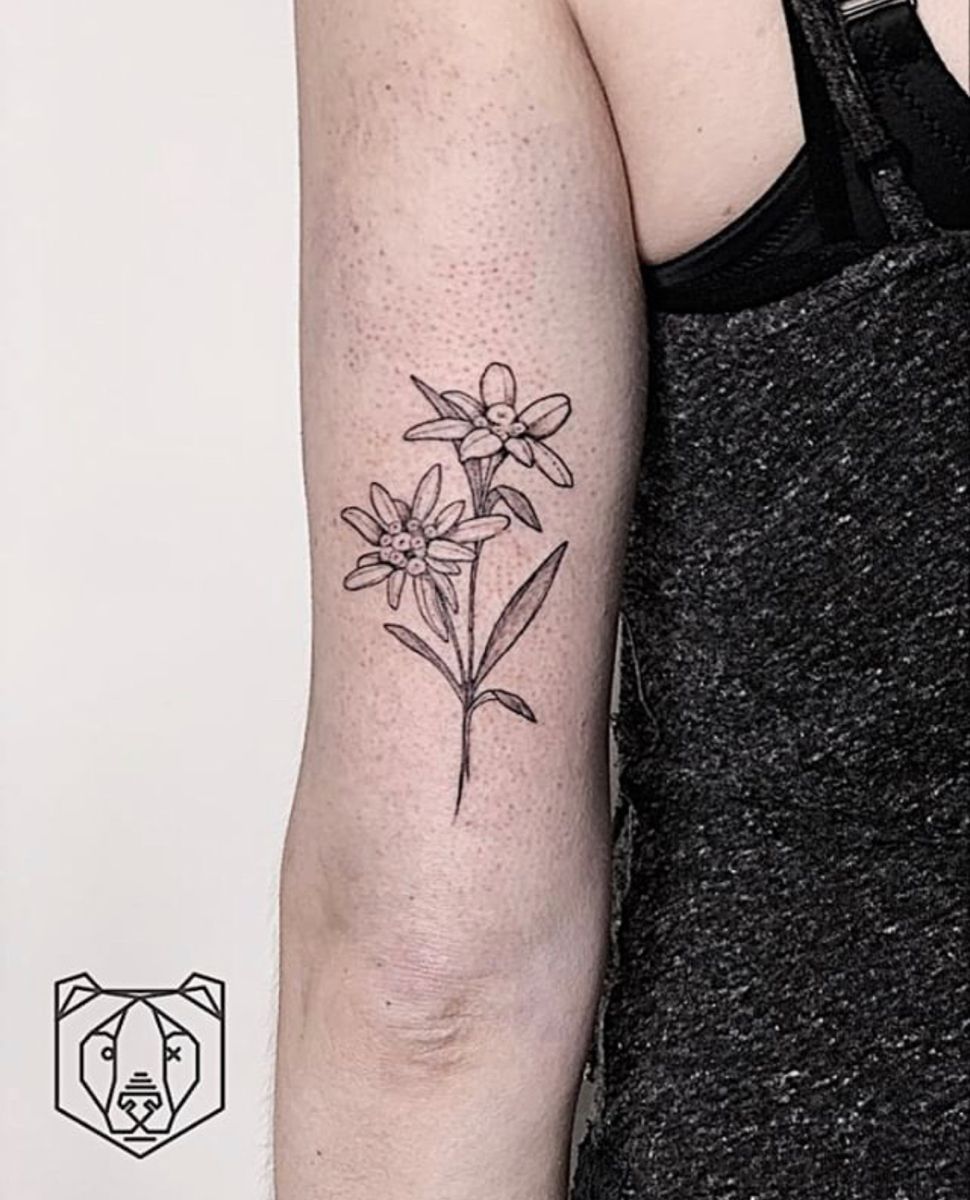 Discover 8 Tattoo Ideas and Edelweiss Flower Ideas | old tattoos, mountain  wild flower tattoo, columbine flower tattoo meaning and more