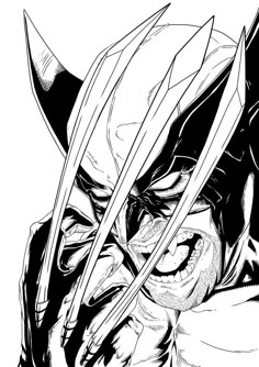 33 Best Wolverine tattoo ideas in 2025 | wolverine tattoo, wolverine,  wolverine art