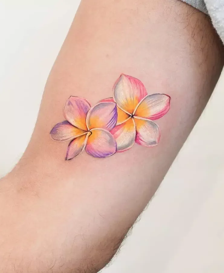 Discover 15 Frangepani and Plumeria Tattoo Ideas | plumeria vector, plumeria  clipart, plumeria flowers drawing and more